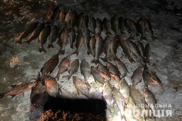 photo_2022-02-06_05-59-47 (2)