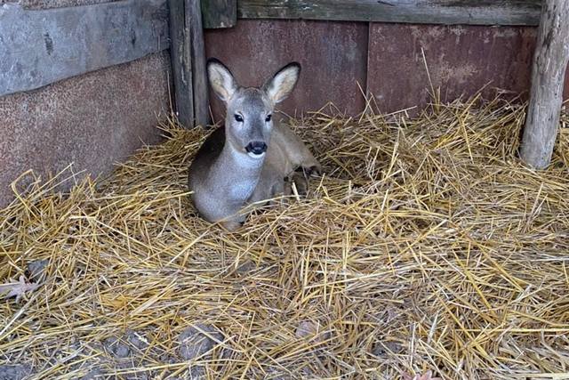 272256553_1993674457482246_5455723936280983446_n