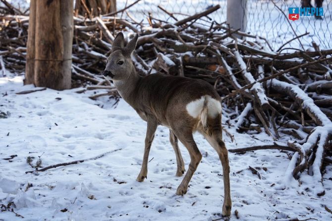 617046154_1183210197299427_40296805299345717_n