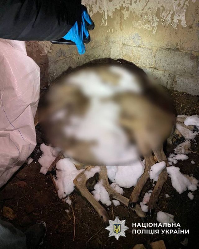 photo_2026-01-04_11-34-00