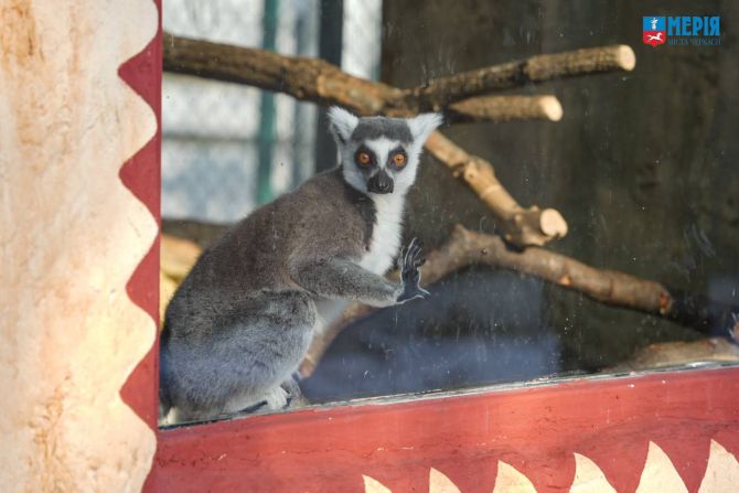 617584924_1183210083966105_8604266998827551342_n