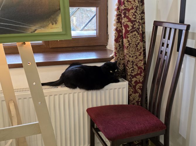 На деяких локаціях не обійшлося без справжніх тварин