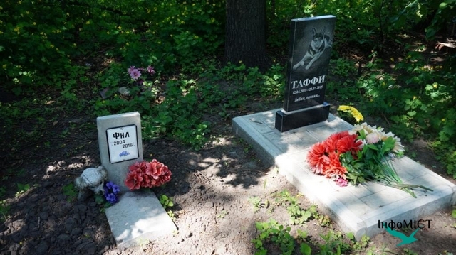 496daf71ced664020f90787f79cae4b5