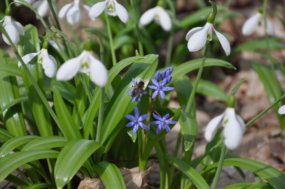 Фото Сергія Косенка