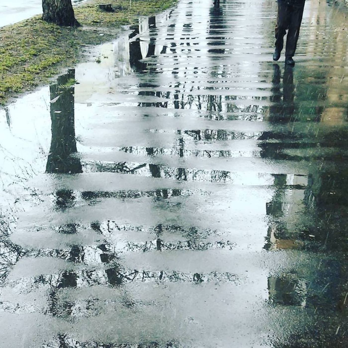 Фото Олі Комарової