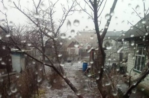 Фото Ольги Косенко