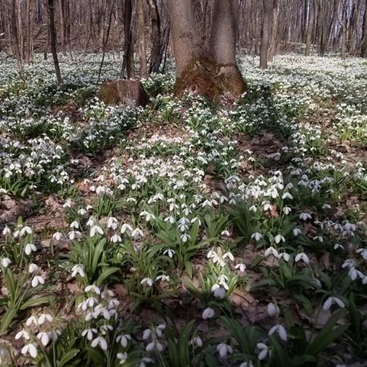 Фото: Serge Krynytsia
