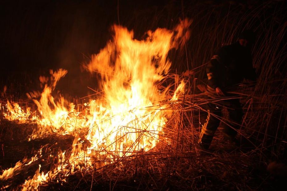 16299081_1337193986342118_5699644128231367633_n