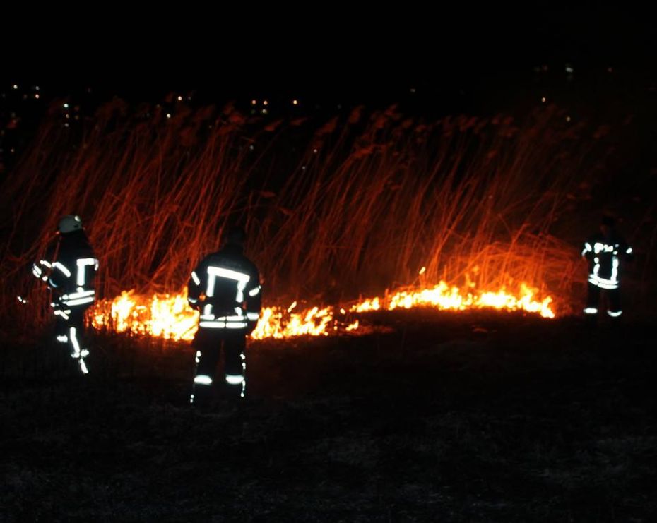 17103399_1337193449675505_1679328703921395691_n