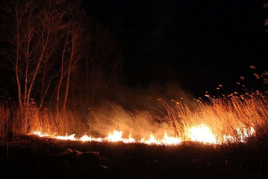 16938783_1337192113008972_848689379946296941_n