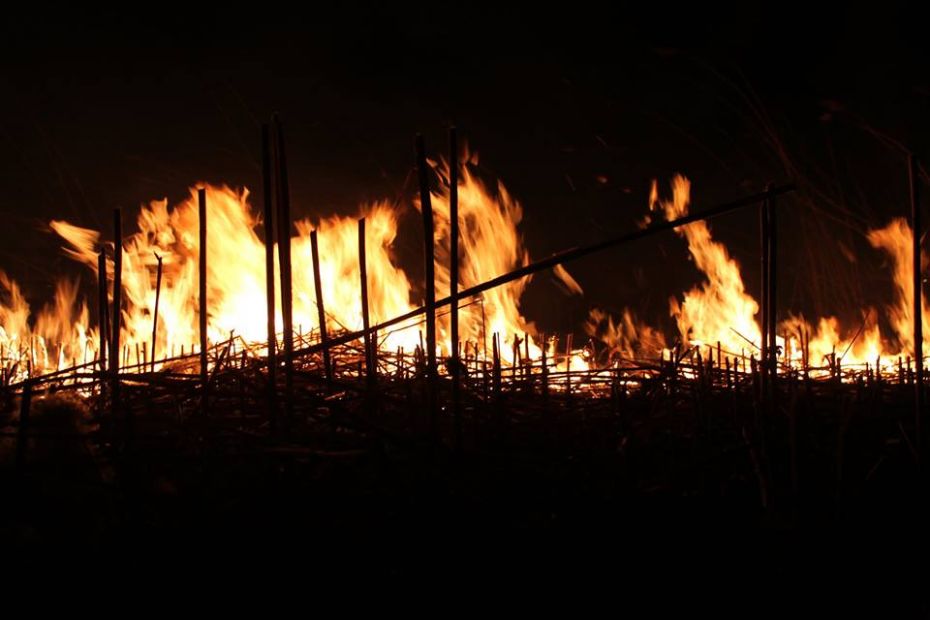 16939202_1337192176342299_588423185815502229_n