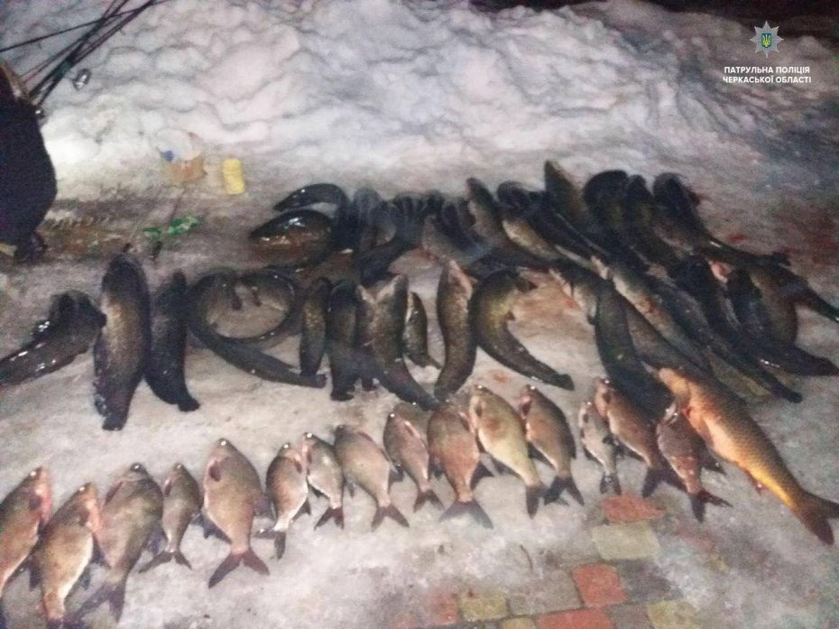 28238242_1615555011855902_8615740520098985687_o