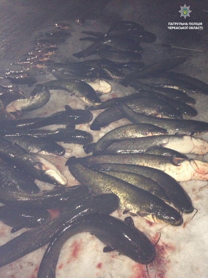 28056610_1615555021855901_1967997094164906060_n