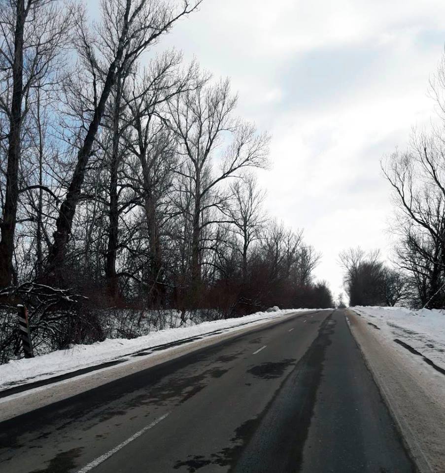 28378257_186989335237143_3435809242006655964_n