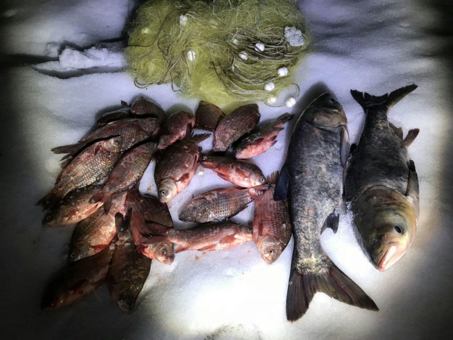 photo_2019-02-20_10-45-27