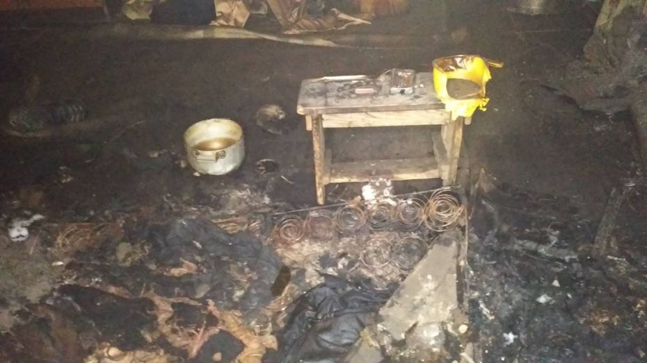 52005754_1176779689158607_6192180077220855808_o