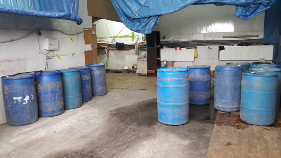 photo_2018-12-28_11-59-21