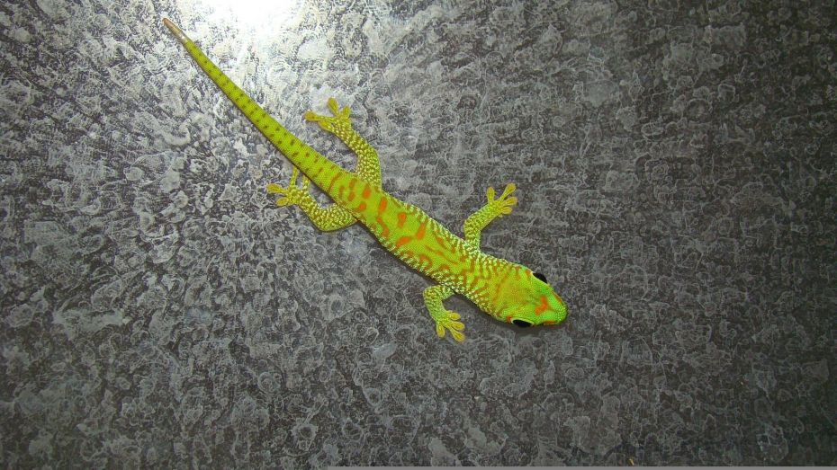 52123778_526603591164910_5675045995939889152_o