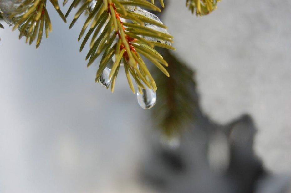 51030653_2192759321037980_3215857368470388736_o