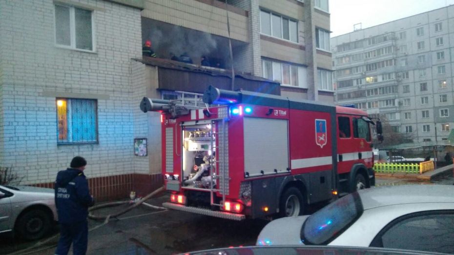 51668700_1456224607845282_1538354060183207936_o