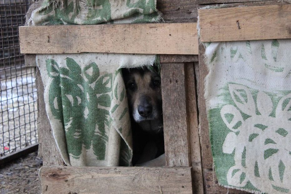 51989100_2060707260645291_6895527679710199808_n