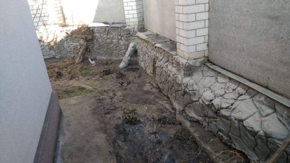 51710795_970280783167803_4596246439926956032_o