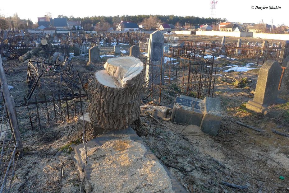 52487921_1177961712376769_7123693900300025856_o