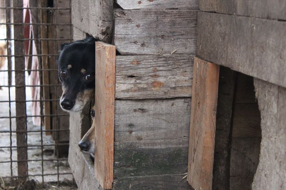 52572773_2060707187311965_1350188411914289152_n