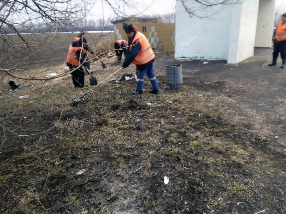 53076432_353264195276322_2642779091891126272_o