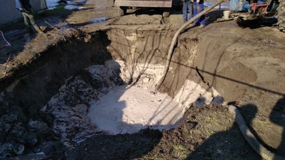 51290757_970280839834464_7235754068113620992_n