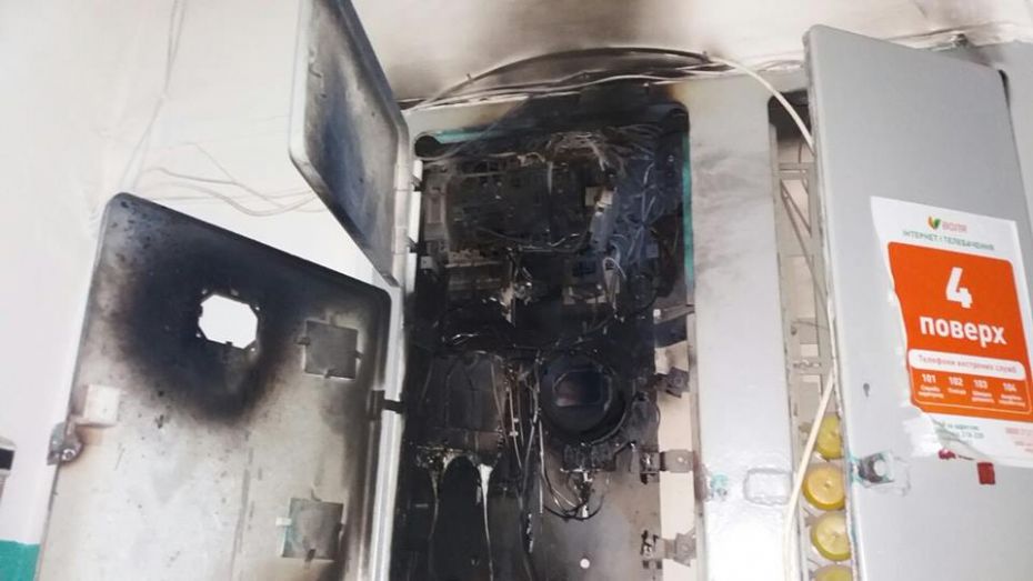 52759598_1465187083615701_6300134440983068672_n