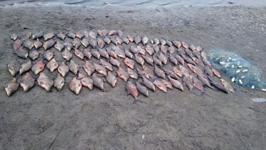 53169330_981887935340421_8501932730739589120_n