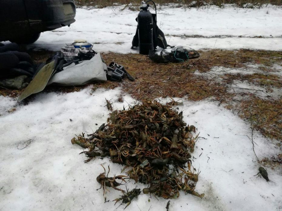 photo_2019-02-21_09-57-07