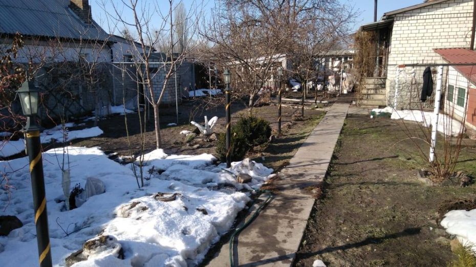 51487273_970280846501130_5150519197905715200_o