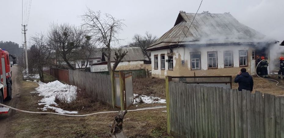 52666705_1462264537241289_5743411150758871040_n