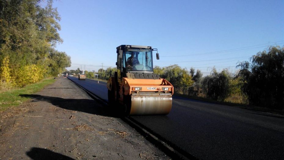 52874855_351211358814939_6158716986290339840_o