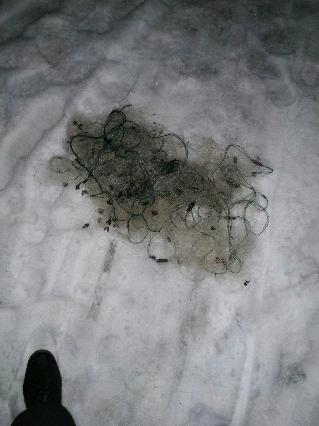 photo_2019-02-20_10-45-44