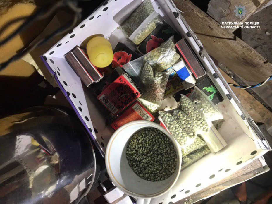 53147913_2087634694647929_3457091748612800512_o