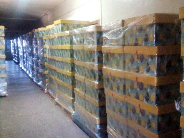 IMG-0c4807e3f940ed60033d07c80ba7505b-V-e1549550783716