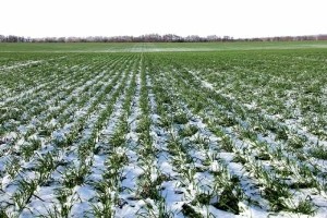 6684e87b2aedf9b9a224389cf28c60c7_h454