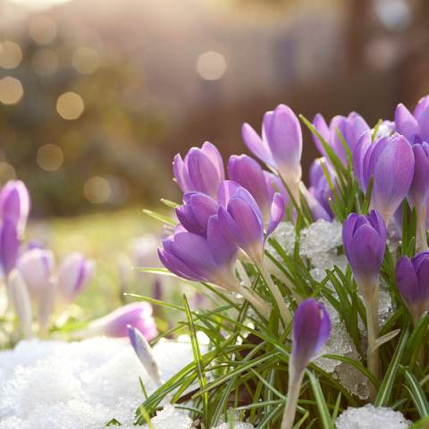 52977679_2358564314379248_2028624478237360128_n