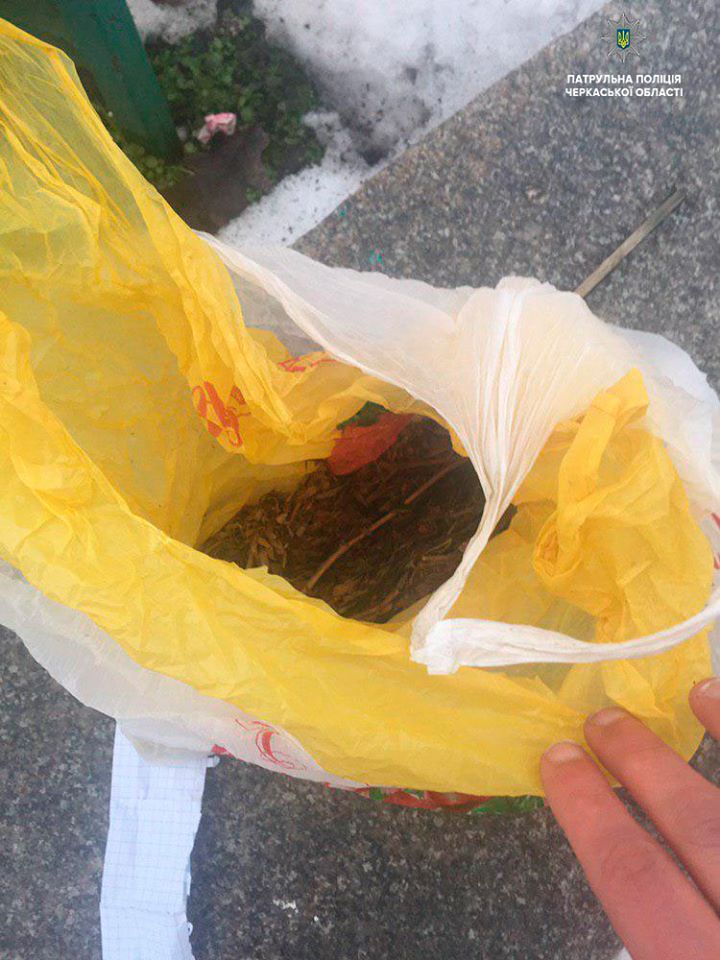 51401438_2051726034905462_29294928248963072_n