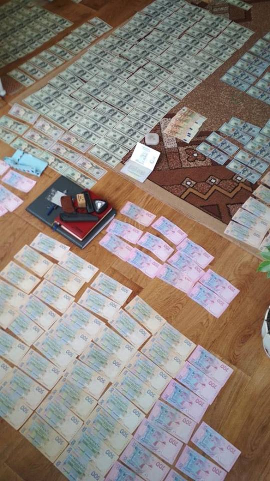 52353302_811586162528360_469271128943099904_n