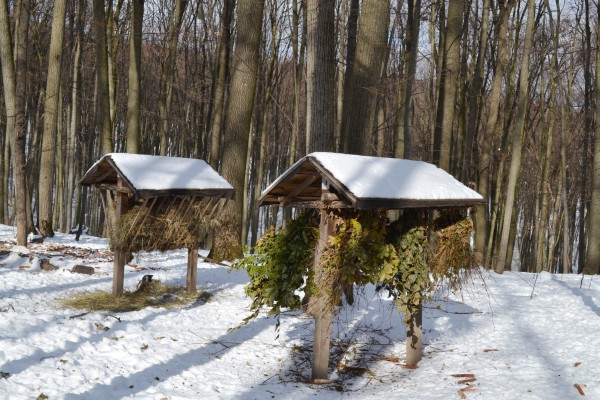 DSC_0826-e1550647861595