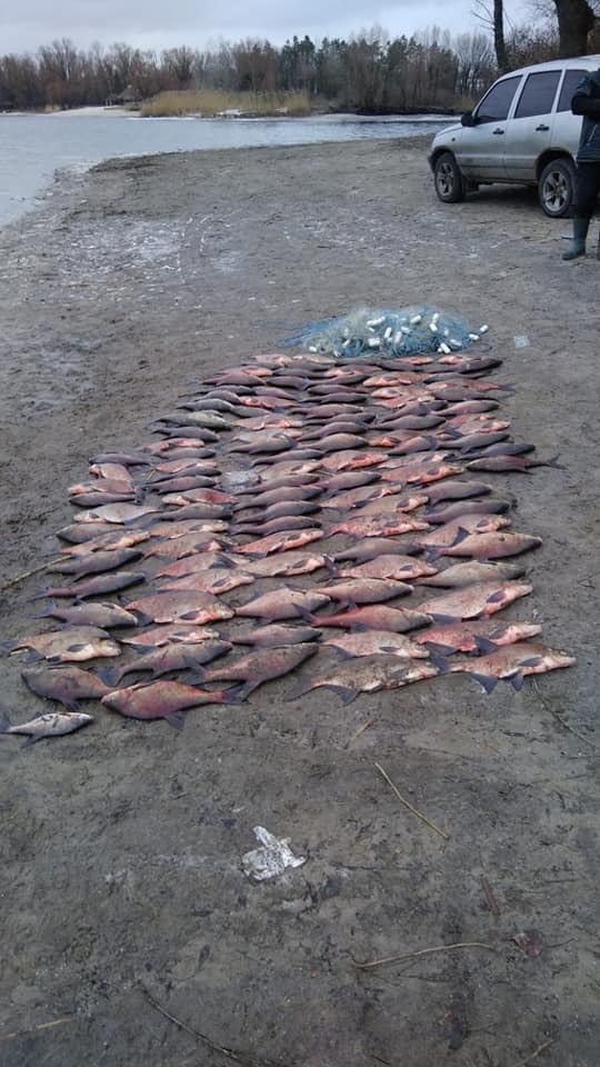 52976502_981887985340416_2642657071870246912_n