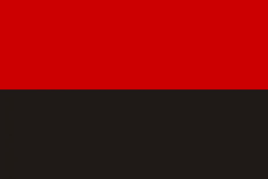 1200px-OUN-r_Flag_1941.svg_-1024x683