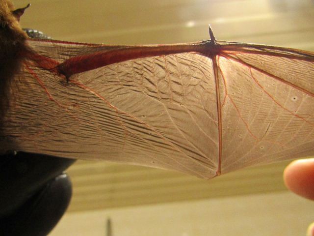 86722448_805932399898693_8797743234542469120_o