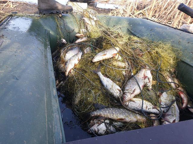 83433584_544549626149039_615659286726443008_o