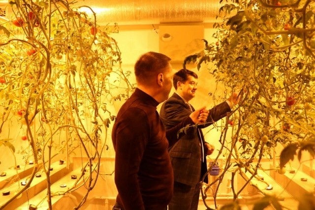 85213556_1431394553689098_3025636870408110080_n