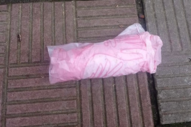 275139138_4662940380494511_2259577664239347002_n